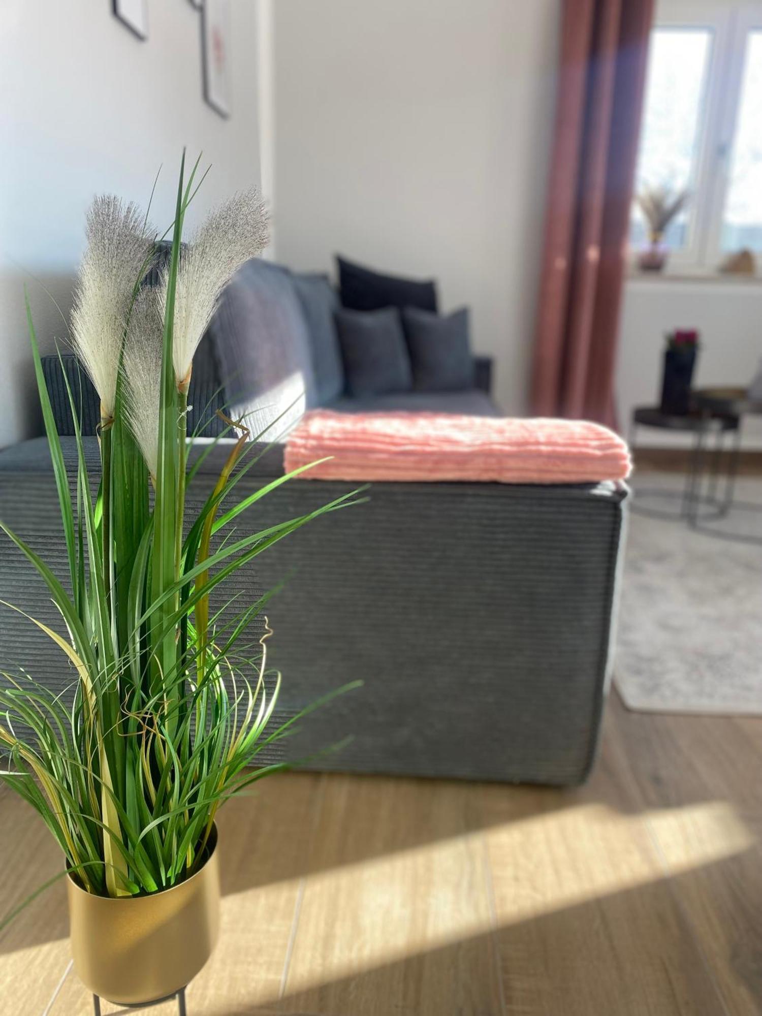 Uniqe I 95Qm I Bergblick I Garten I Bbq I Seenah Prien am Chiemsee Zewnętrze zdjęcie